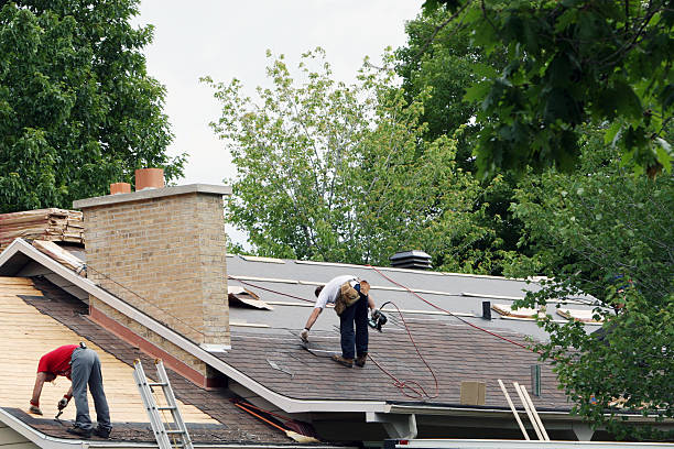 Best Roof Ventilation Installation  in Paulding, OH